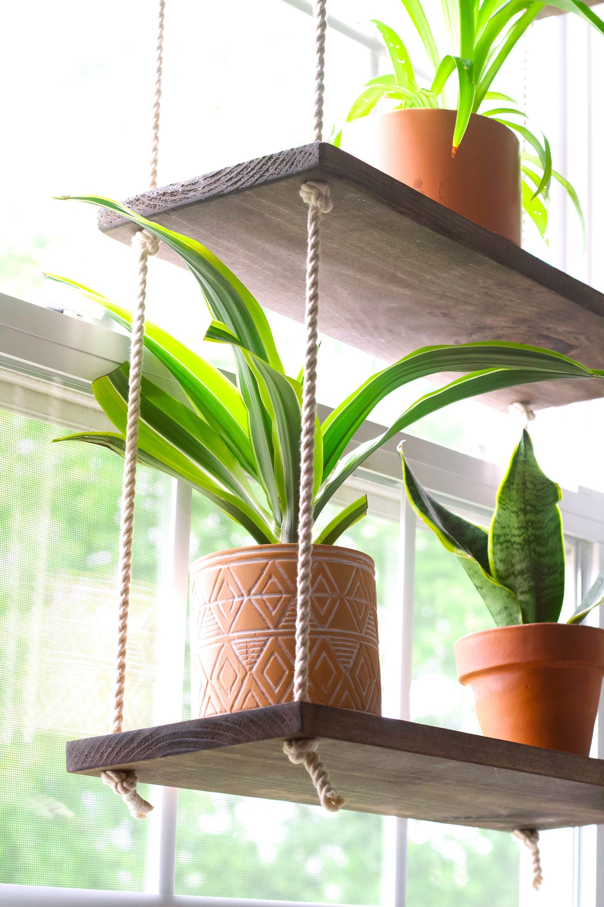 Window Plant Shelf | Hanging Window Shelf {3 tiered} | Window Floating Shelves | Tiered Wall Shelf | Hanging Planter | Hanging Rope Shelves