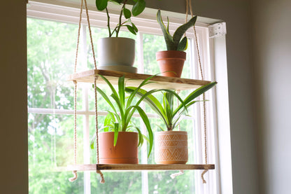 window plant shelf hanging in window