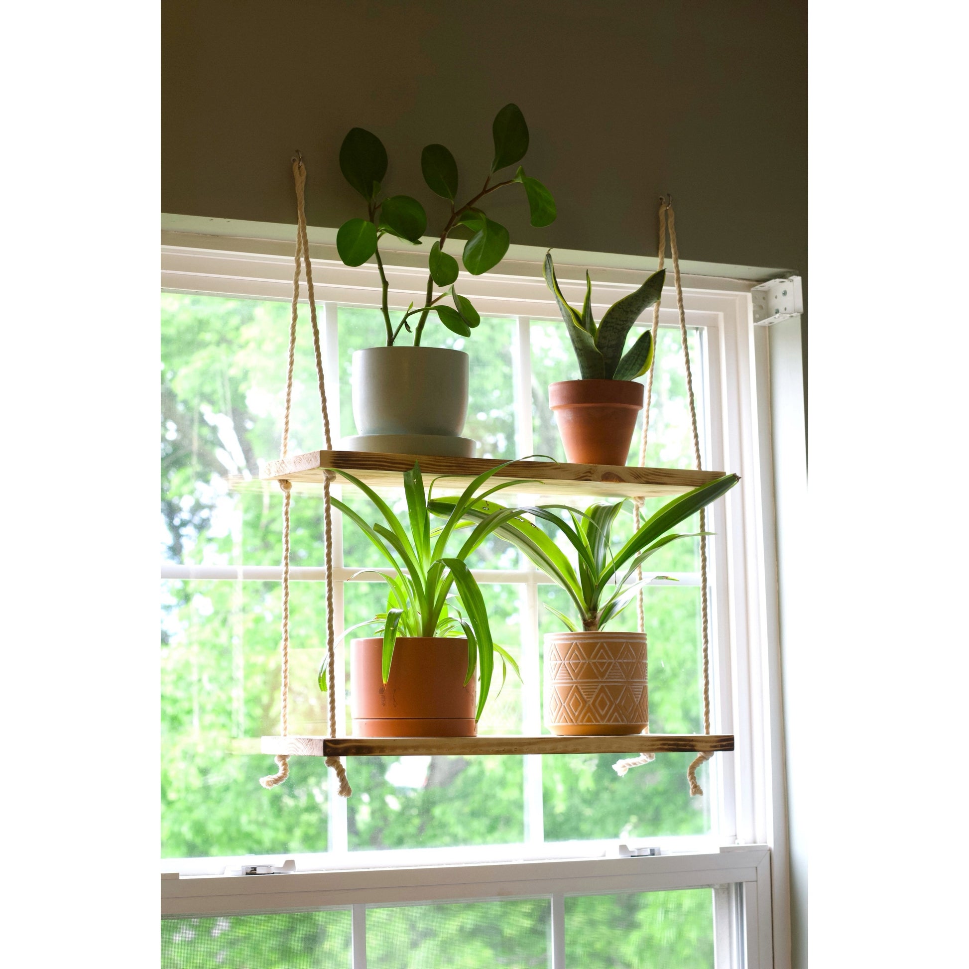 house plants on the window plant shelf