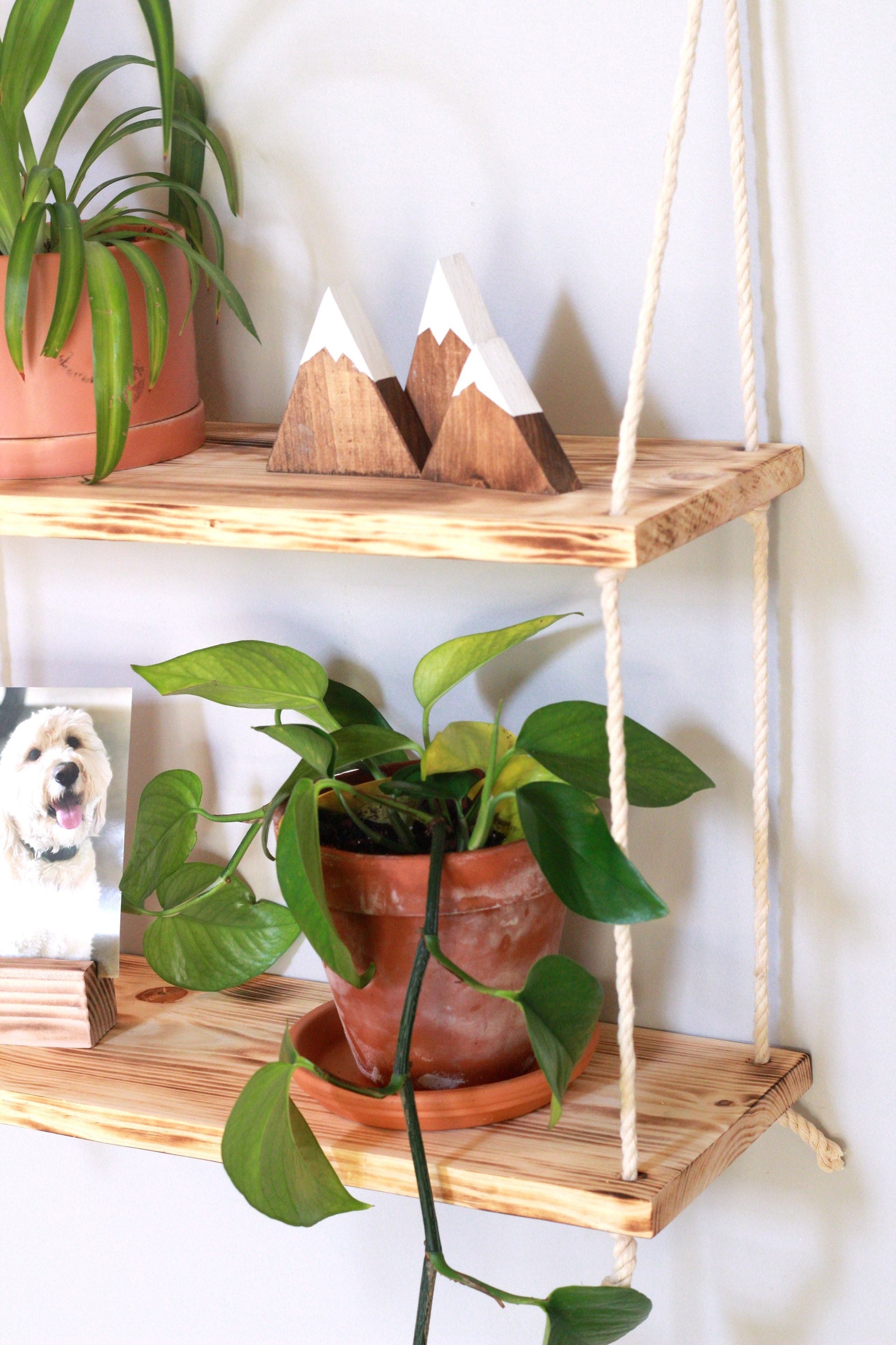 window plant shelf with torched finish