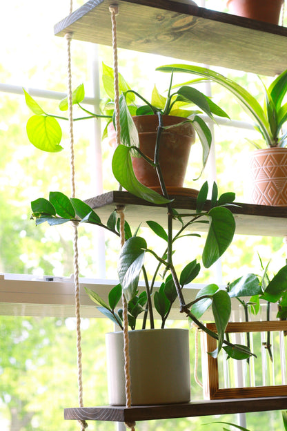Window Plant Shelf | Tiered Plant Shelf {4 Tier} | Window Floating Shelves | Hanging Planter | Boho Hanging Planter | Rope Shelves