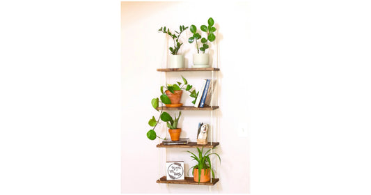 Window Plant Shelf: 4-Tiered Hanging Window Shelves for Greenery Display
