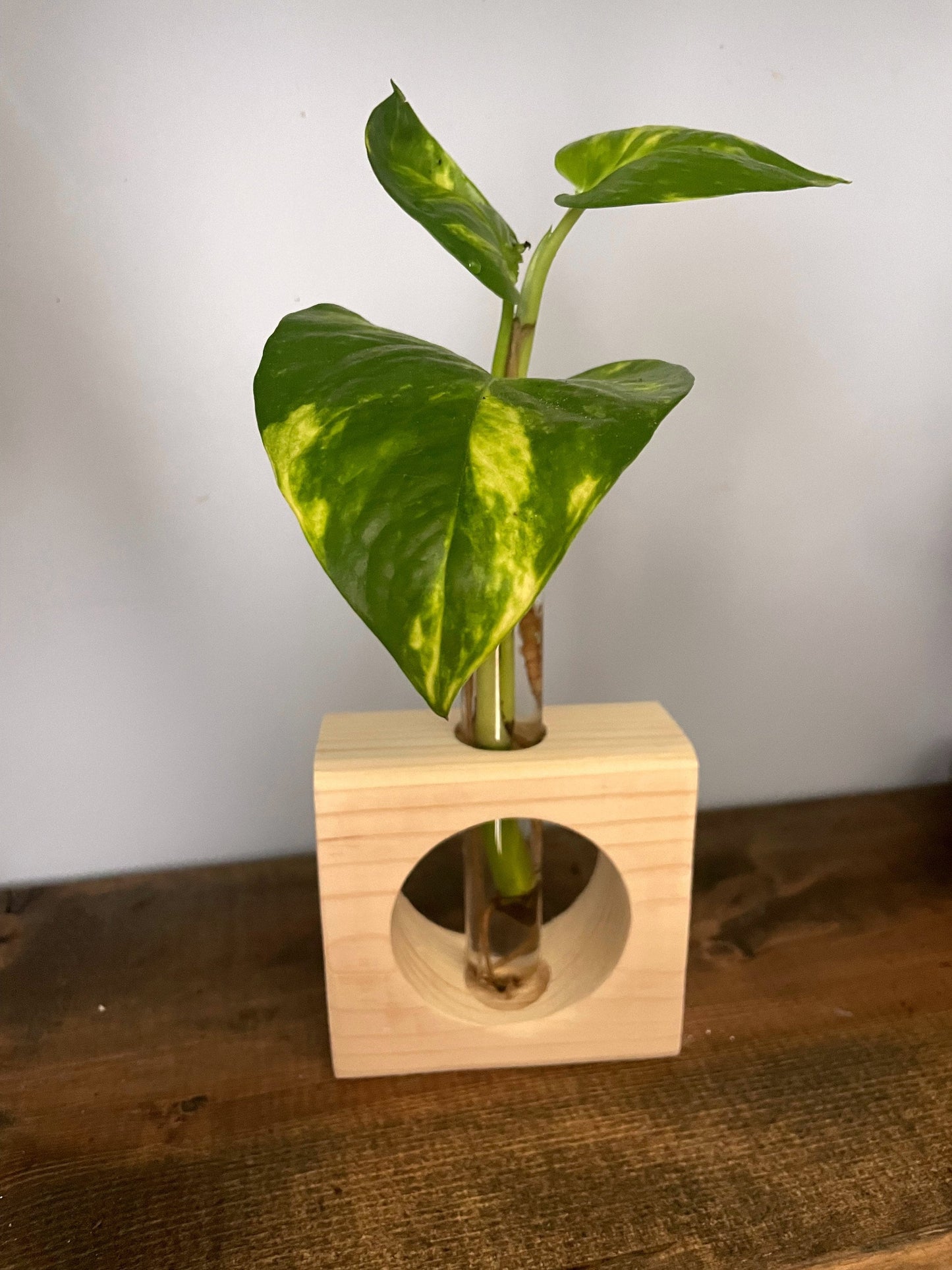 Propagation Station | Plant Propagation- Tubes Included | Indoor Plant Stand | Plant Gift | Wooden Propagation Stand