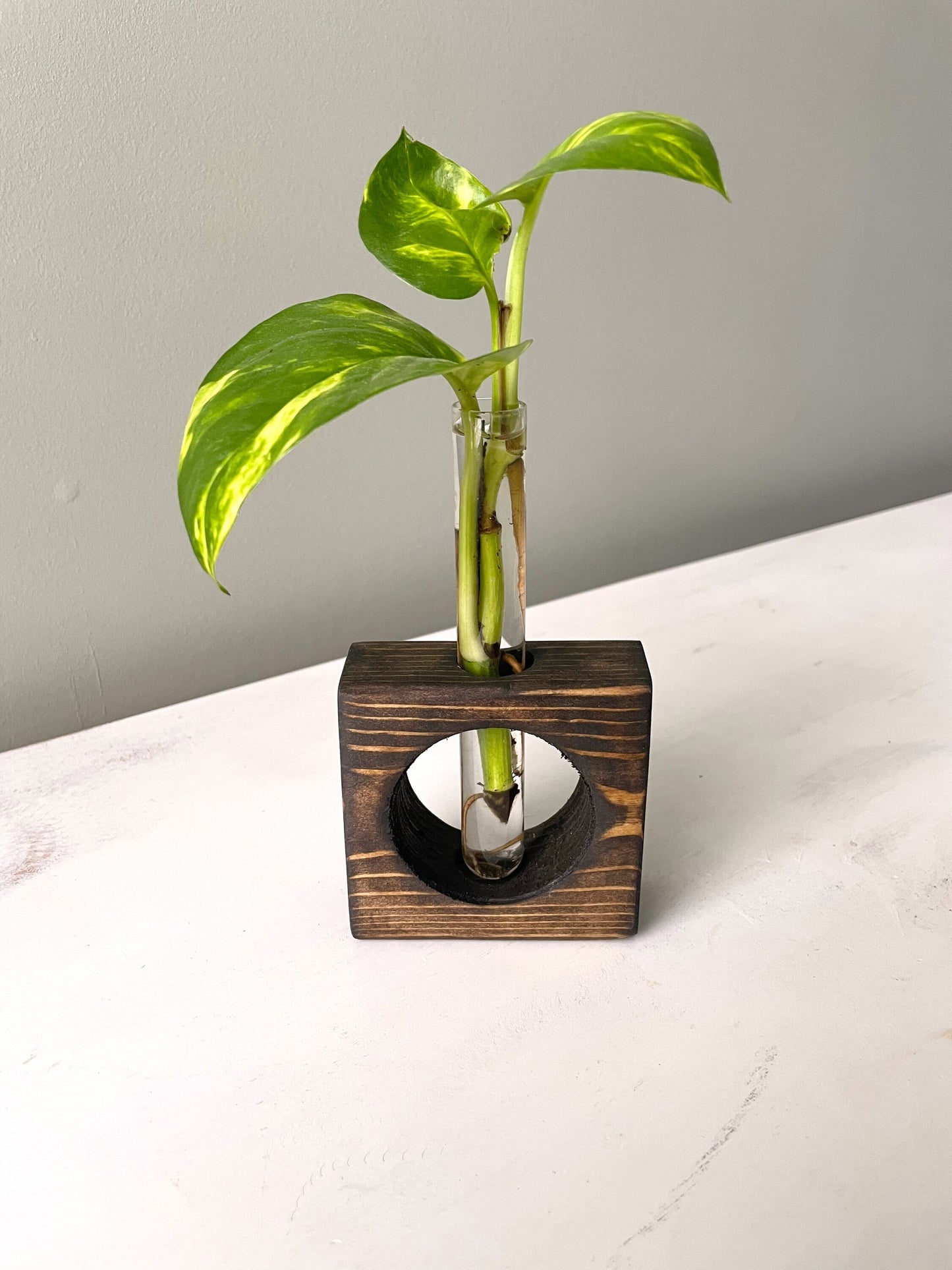 Propagation Station | Plant Propagation- Tubes Included | Indoor Plant Stand | Plant Gift | Wooden Propagation Stand