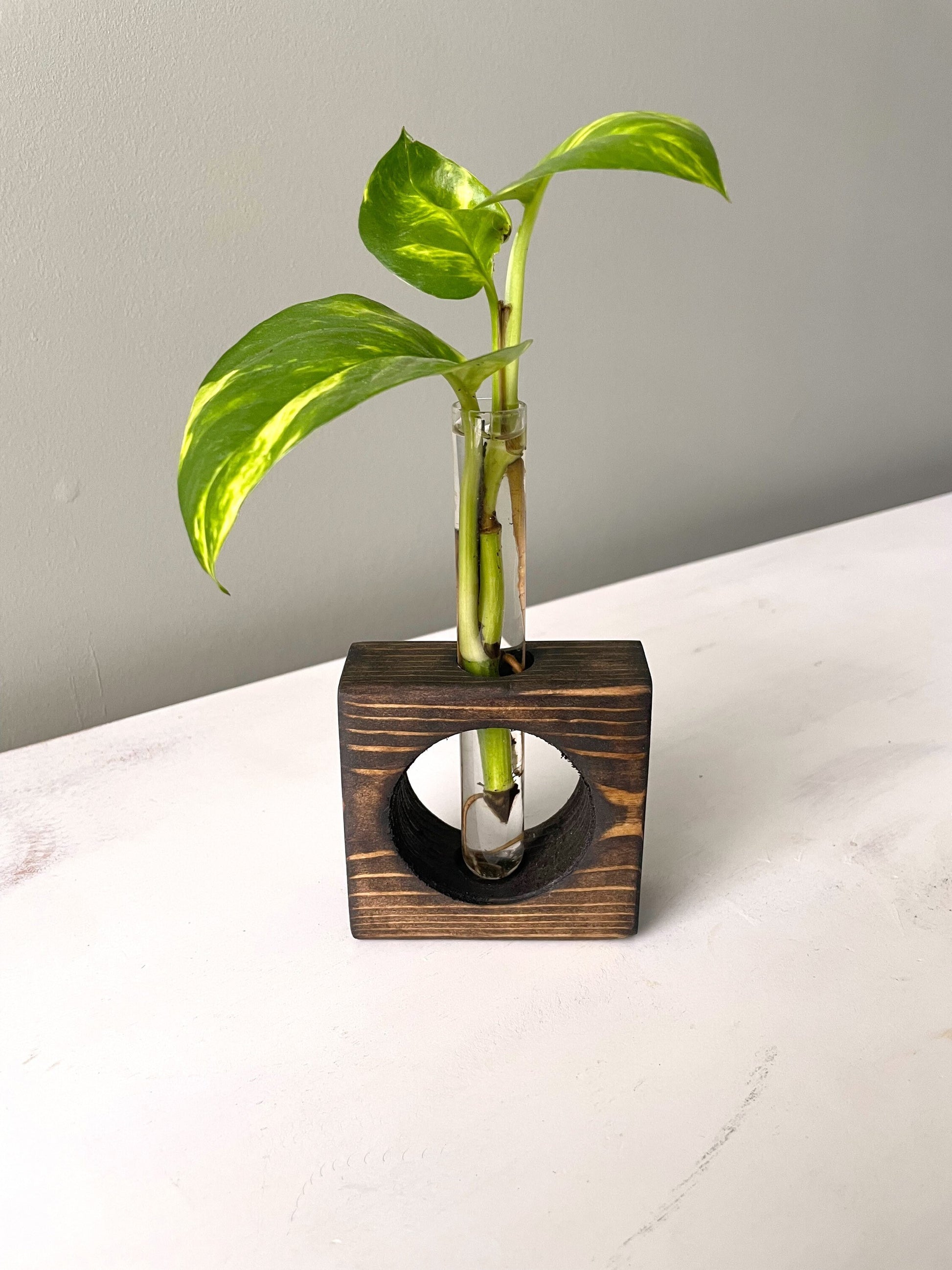 Propagation Station | Plant Propagation- Tubes Included | Indoor Plant Stand | Plant Gift | Wooden Propagation Stand