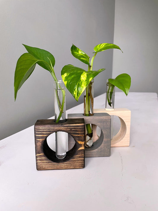 Propagation Station | Plant Propagation- Tubes Included | Indoor Plant Stand | Plant Gift | Wooden Propagation Stand