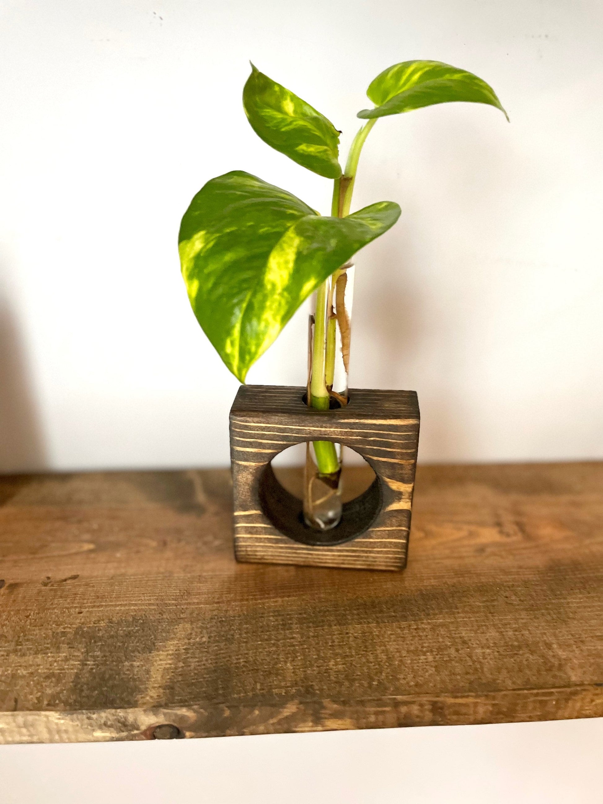 Propagation Station | Plant Propagation- Tubes Included | Indoor Plant Stand | Plant Gift | Wooden Propagation Stand