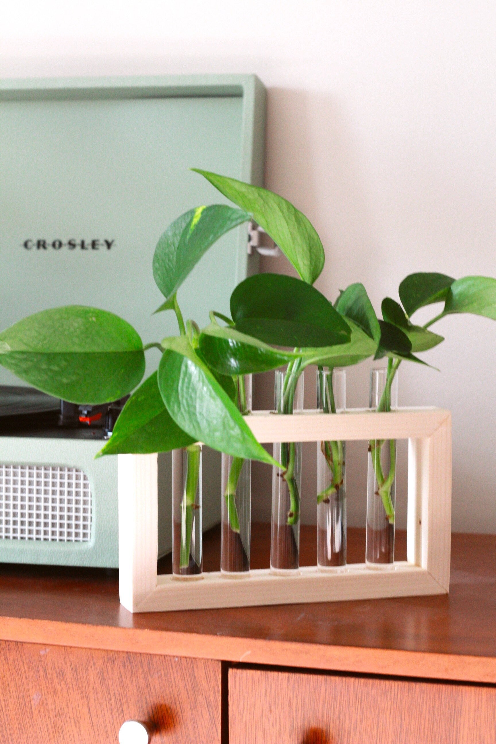 indoor plant station Plant Propagation Station