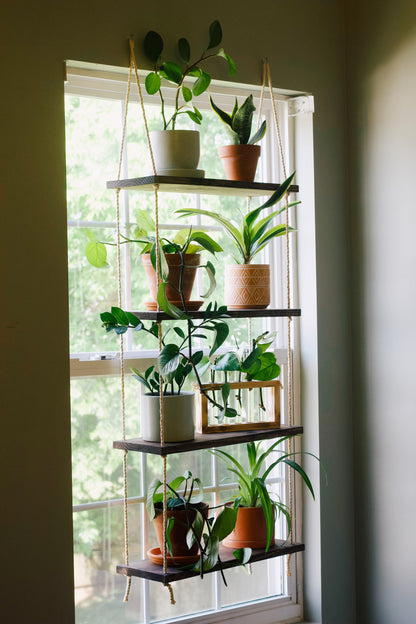 Window Plant Shelf: 4-Tiered Hanging Window Shelves for Greenery Display