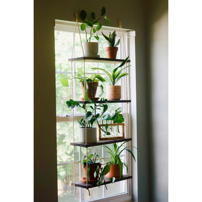 diy hanging window plant shelves 4 Tier Window Plant Shelf – JDM Wood Creations