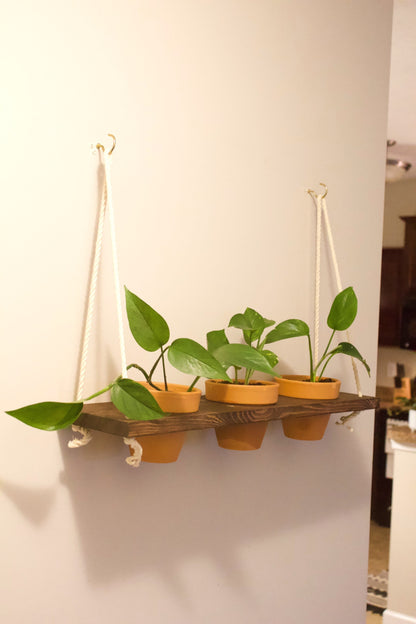 Window Plant Shelf | Hanging Planter | Tiered Plant Shelf | Window Garden Shelves | Wood Rope Shelves | Plant Pots | Plant Pot Holder Shelf