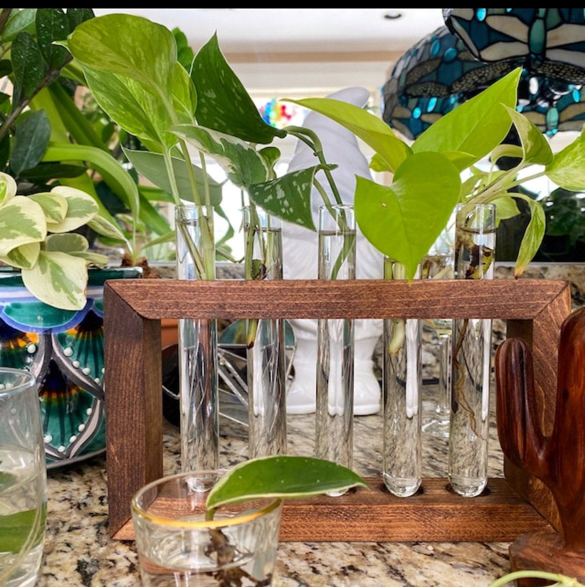 Propagation Station | Plant Propagation- Tubes Included | Indoor Plant Stand | Boho Plant Holder