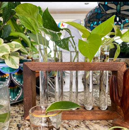 Propagation Station | Plant Propagation- Tubes Included | Indoor Plant Stand | Boho Plant Holder